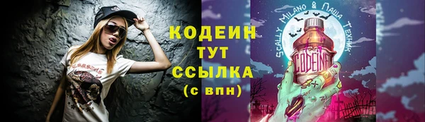 ГАЛЛЮЦИНОГЕННЫЕ ГРИБЫ Ельня