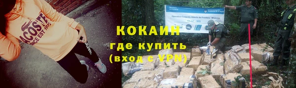 дживик Дмитриев
