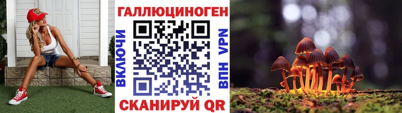 Псилоцибиновые грибы мицелий  Камень-на-Оби 
