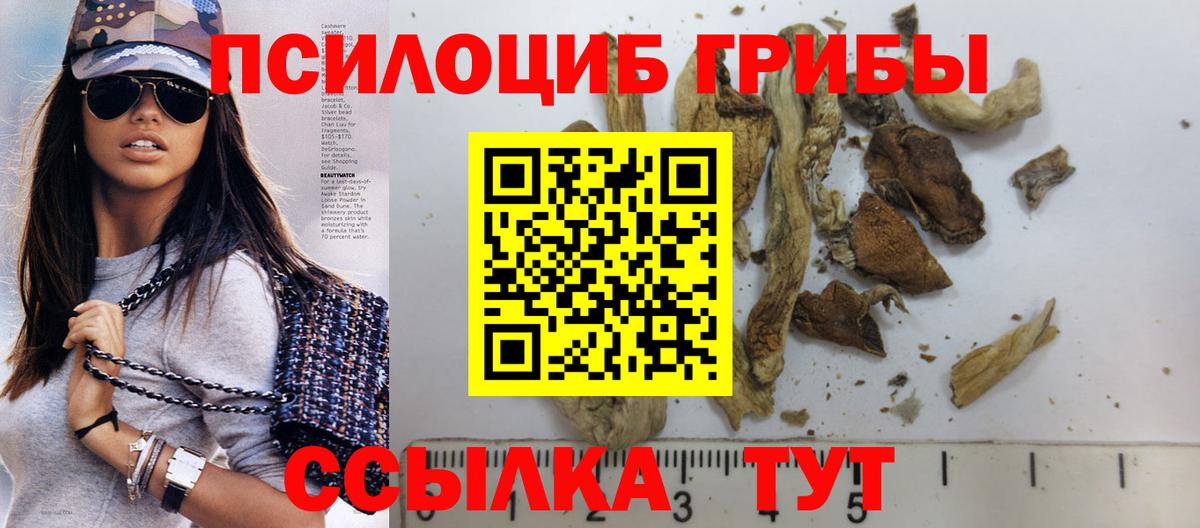Псилоцибиновые грибы Камень-на-Оби