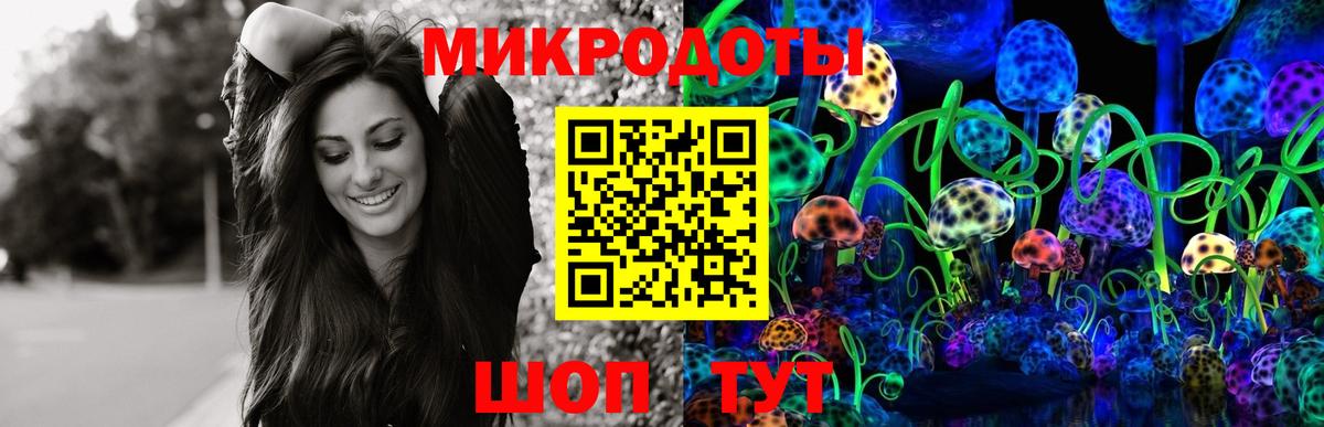 Псилоцибиновые грибы мухоморы Камень-на-Оби