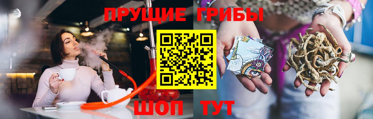 Камень-на-Оби  Псилоцибиновые грибы MAGIC MUSHROOMS  как найти   Вход с VPN 